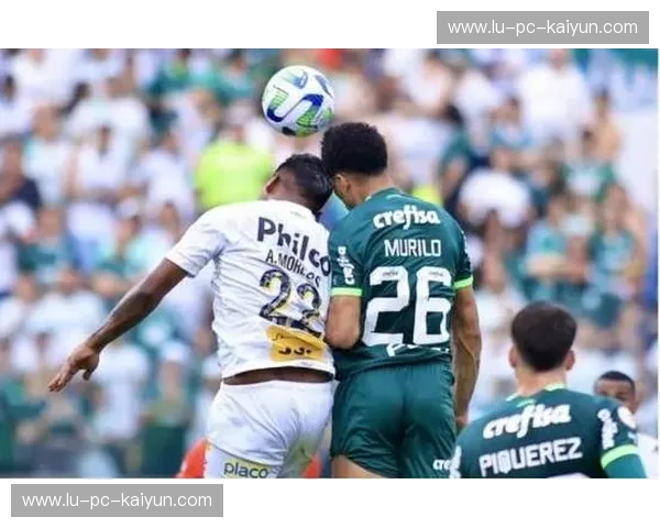 绿白对决：桑托斯与帕尔梅拉，历史恩怨与绿茵激情的碰撞